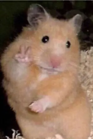 ปกนิยาย ´´ᶠⁱᶜ ʲᵘʲᵘᵗˢᵘ ᵏᵃⁱˢᵉⁿ´´.  ʜɪ!, ɪ'ᴍ ɢʀᴀʏ ʜᴀɪʀ's sɪsᴛᴇʀ.