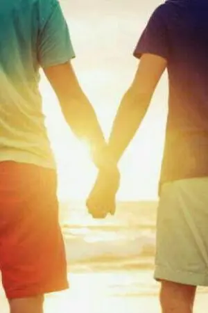 ปกนิยาย The perfect couple