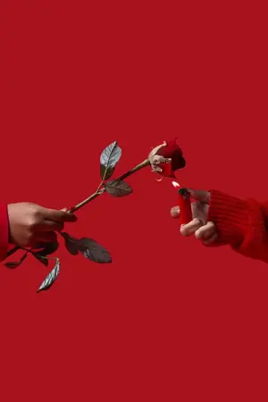 ปกนิยาย [ Fic Katekyo hitman reborn  ] Rose Lady Family | ปิดรับสมัครตัวละคร