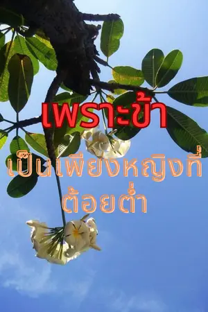 ปกนิยาย เพราะข้า เป็นเพียงหญิงที่ต้อยต่ำ