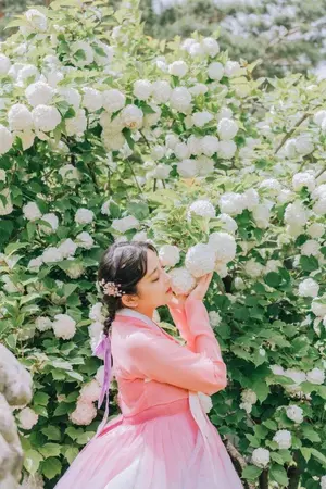 ปกนิยาย ฮาแซวอน ยอดหญิงตระกูลฮา