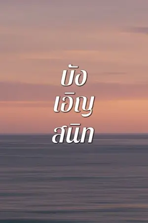 ปกนิยาย บังเอิญสนิท (จบ) มี e-book