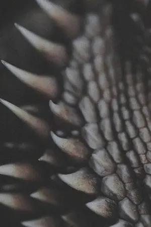 ปกนิยาย ลมหายใจของมังกร (Yaoi Boy Love Lovely+Fanfiction:EXO ChanBaek+mpreg)