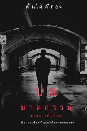 ปกนิยาย ปมฆาตกรรมของการสืบสวน