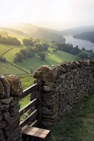 ปกนิยาย The Kingdom of Silence | Minno