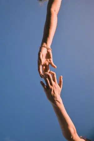 ปกนิยาย Honey Rise [BL]