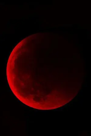 ปกนิยาย ย้อนเวลาในวันสิ้นโลก