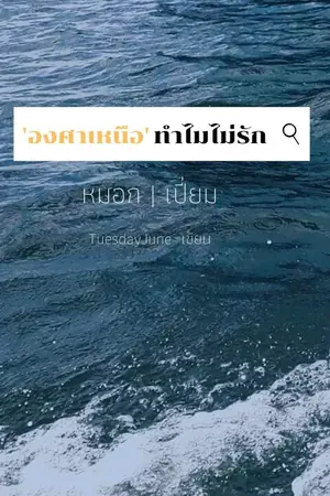 ปกนิยาย