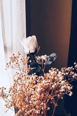 ปกนิยาย Ninelie [Yuri]