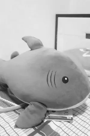 ปกนิยาย เสียงของชู