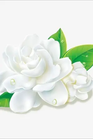 ปกนิยาย มะลิวัลย์ - chanbaek ( Omagaverse )