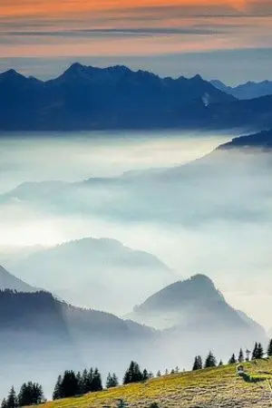 ปกนิยาย เจ้าสาวเมืองหมอก