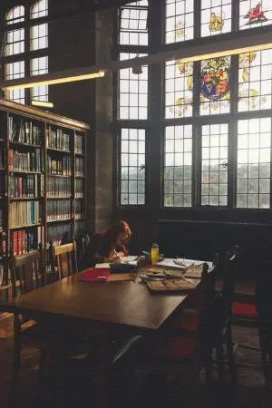 ปกนิยาย ฉันเกิดเป็นแฝดเฮอร์ไมโอนี่! (Harry potter) oc