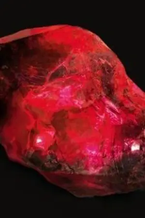 ปกนิยาย (fic dxd)เกิดใหม่?ในโลกของราชาฮาเร็ม?