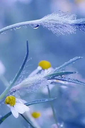 ปกนิยาย Love♥️U นะ...เจ๊