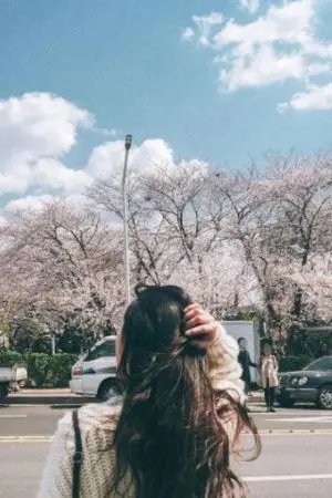 ปกนิยาย อยู่ๆก็เป็นนางร้ายในนิยายวาย (จบแล้ว)