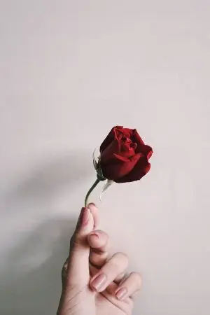 ปกนิยาย ยัยคู่หมั้นตัวร้าย