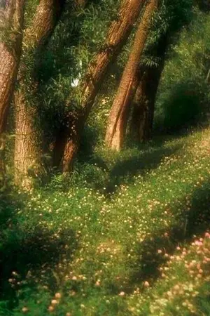 ปกนิยาย ฝันดีครับ อย่าลืมฝันถึงผมนะ