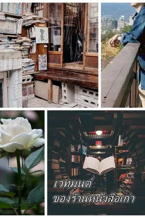 ปกนิยาย THE MAGIC เวทมนต์ของร้านหนังสือเก่า