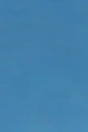 ปกนิยาย [fic Boruto] oc ผู้ต้องสงสัยว่าเป็นลูกแฝดของซาสึเกะ