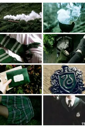 ปกนิยาย What if Harry Potter was in Slytherin !? (OC,OOC) (Yaoi/Yuri)(ภาคต่อของเรื่อง Sister of Bellatrix,Narcissa and Andromedae)
