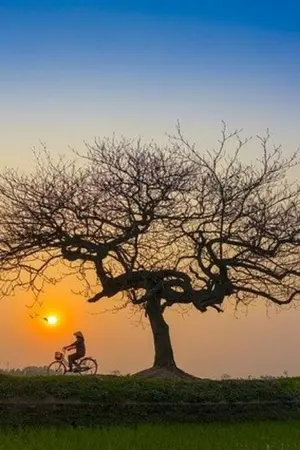 ปกนิยาย เธอคือรักแรกและรักสุดท้าย