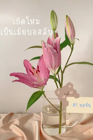 ปกนิยาย เกิดใหม่เป็นเมียบอสลับ [mpreg]
