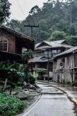 ปกนิยาย ฟ้าเหนือดาว Sky above the stars