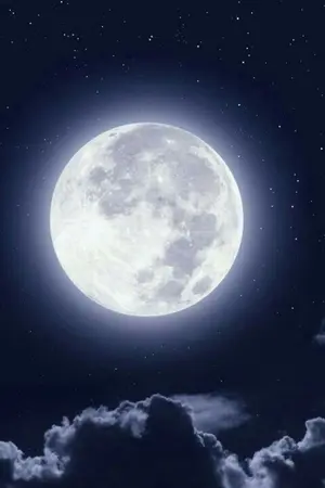 ปกนิยาย [Fic Kimetsu No Yaiba | OC]冬の月 ดวงจันทร์ยามเหมันต์ฤดู