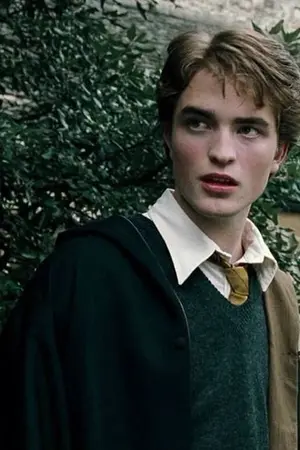 ปกนิยาย Cedric Diggory x oc ///memories with you