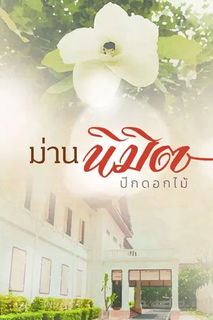 ปกนิยาย ม่านนิมิต(จบแล้ว)