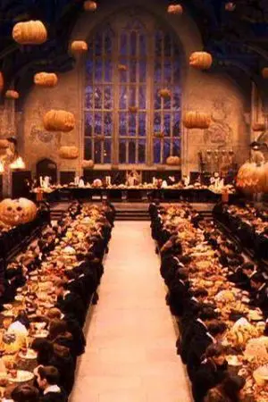 ปกนิยาย fic Harry potter x you ตระกูลอมตะที่ถูกลืม (alloc)