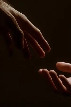 ปกนิยาย เพียงข้าได้พบ