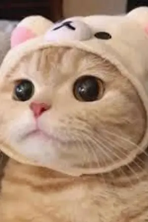 ปกนิยาย คิดผิดที่พยศพี่ชาย