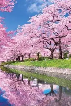 ปกนิยาย kimetse no yaiba x oc