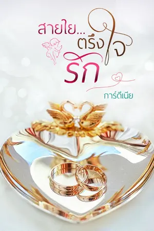 ปกนิยาย