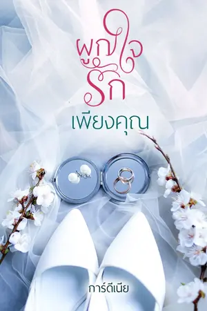 ปกนิยาย