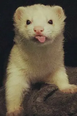 ปกนิยาย [Fic Harry Potter] Once upon a time.(FW/DM/GW)