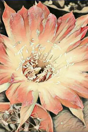 ปกนิยาย ตะวันกลางใจ <เยี่ยหมิงซิน,จ้าวหลิ่งซาน>