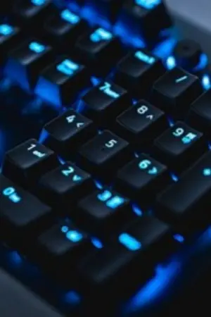 ปกนิยาย SHO(Speedrun Hero Online)