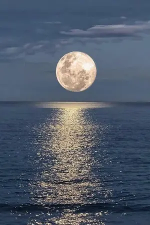 ปกนิยาย ดอกไม้ของอสูร​ (Y)