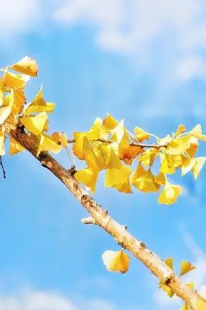 ปกนิยาย ขอสักครั้งให้ได้อยู่ข้างท่าน