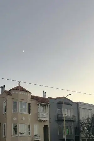 ปกนิยาย Chamomile (Omegaverse)