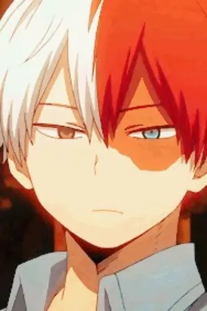 ปกนิยาย [FANFIC MHA​]​ Todoroki​ x oc