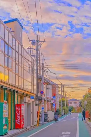 ปกนิยาย [fic haikyuu] kenma x oc- แคทนิป