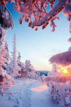 ปกนิยาย [Fic jibaku shounen hanako-kun] ความทรงจำในฤดูหนาว