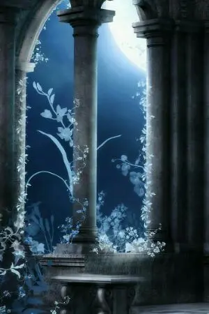 ปกนิยาย [Fic black clover] White and black side