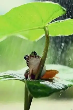 ปกนิยาย ตายแล้วตื่น