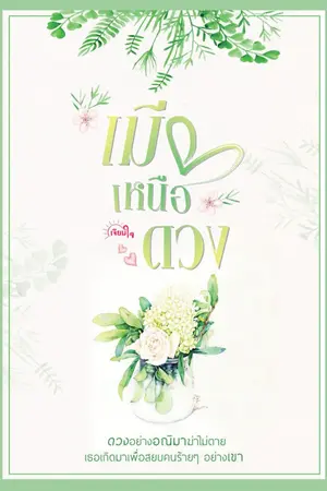 ปกนิยาย เมียเหนือดวง