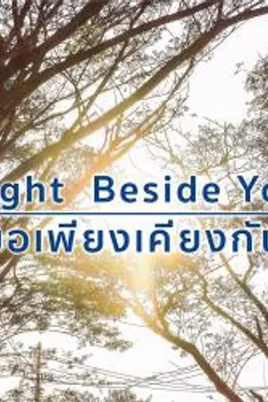 ปกนิยาย Right  Beside You ขอเพียงเคียงกัน